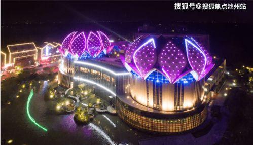 2k24最新卡包爆料,精彩亮点与策略解析  第2张