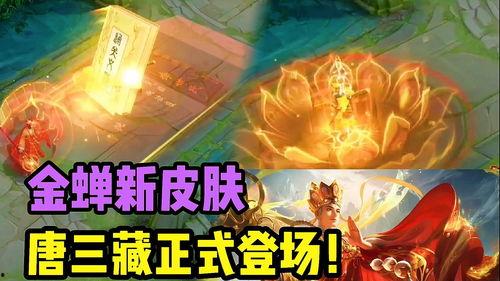 金蝉皮肤爆料最新 第1张 金蝉皮肤爆料最新 第1张